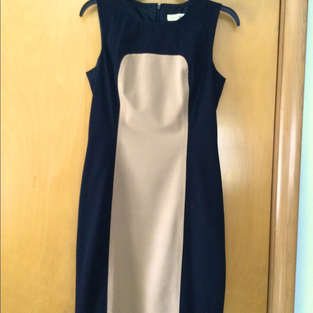 Calvin Klein Black and Tan dress